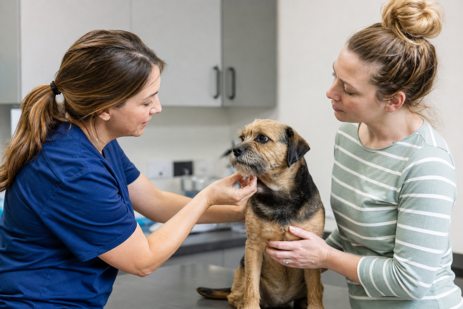 Why Local Pet Owners Trust Animal Clinic